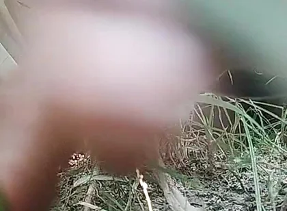 The Village Boy Went to the Cornfield and Hit Him Hard