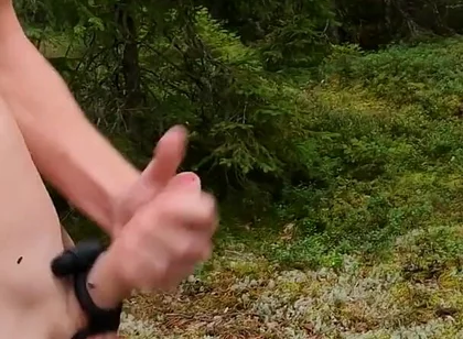 Me Against the Flies