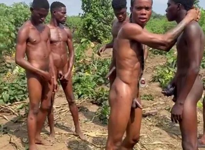 The Corn Shoot Surprise Everyone Is Talking About