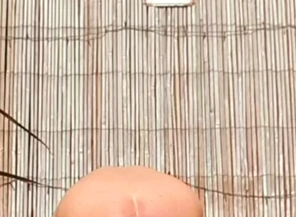 Anal Stretching