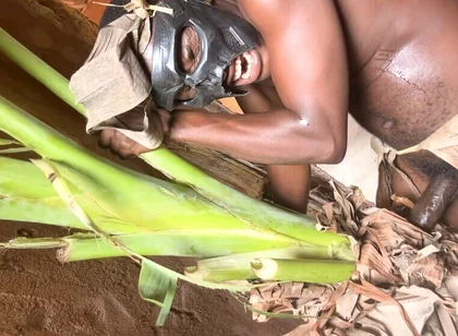 African Jujujar Bangcum