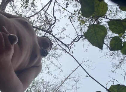 Chinese Bear