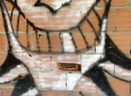 Amateur Boy Caught Bare Ass in Abandoned Building