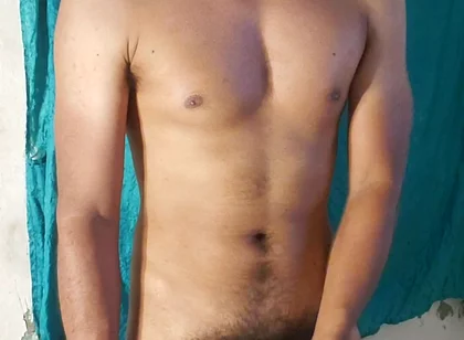 Male Stallion