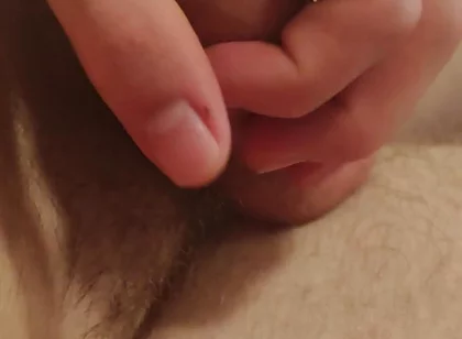 Cock Watching