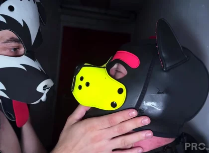 Basement Encounter