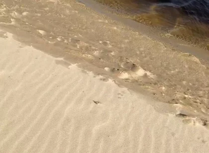 Beach Walk