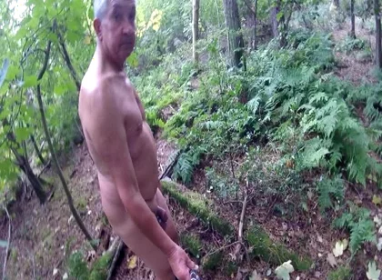 Exploring a New Wood