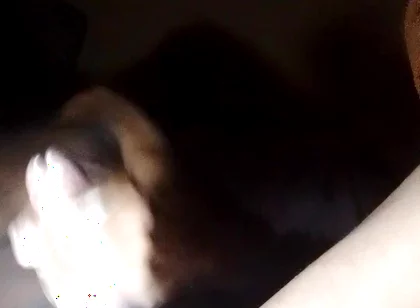 Dangling Sperm