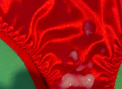 Cum on Wife’s Panties 15