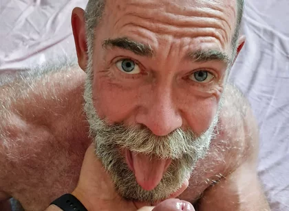 Bear Needs a Load
