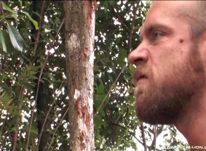 Lords of the Jungle