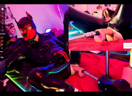 Doggy Rubber Show
