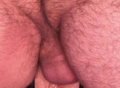 An Obedient Puppy 2 4K