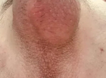 Do You Like Shaved or Hairy?