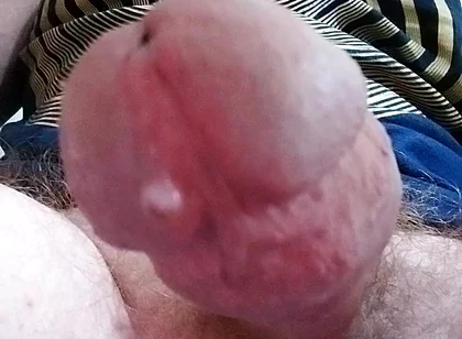 Let Cock Be Your Guide