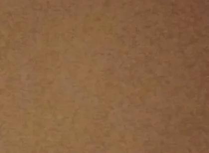 Lets Have Cum Together