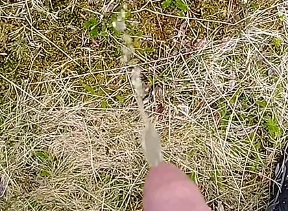 Pissing up in the Mountains
