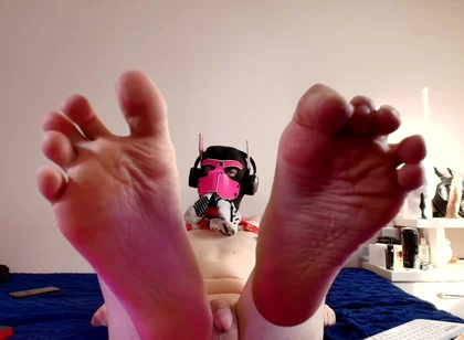 Paws Took Over Your Screen