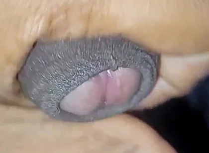 Desi Vergin Teen Gay Boy Jerking Himself