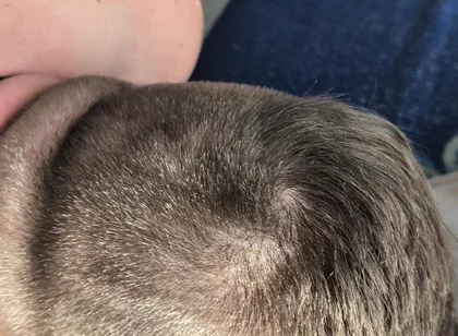 Hairy Stepdaddy Rimming and Railing His Fuck Toy and Cums a Lot