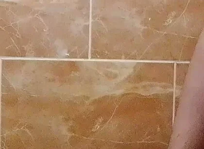 I Made a Video in the Toilet While Taking a Shower.