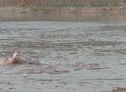 Exploring the Deep and Creamy Mud Pond