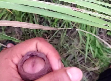 Masturbating in the Sugarcane Field