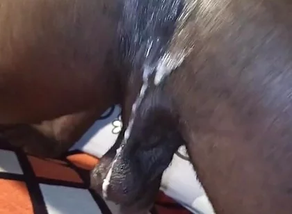 Muscline Hairy Big Black Cock Hairy Ass