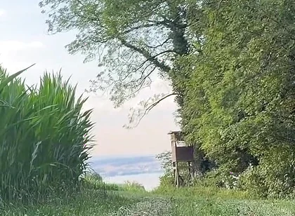 Risky Bwc Stroking Outdoors on Meadow with Lake View - Big Cumshot
