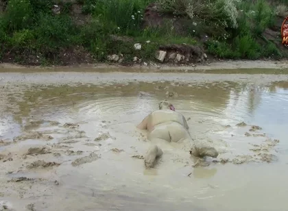 Me Playing in Deep Light Mud