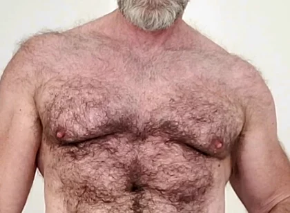 Sexy Hairy Muscle Bear