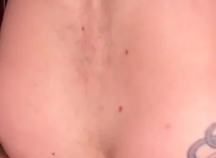 A Wolf Gets Fucked by a Bear