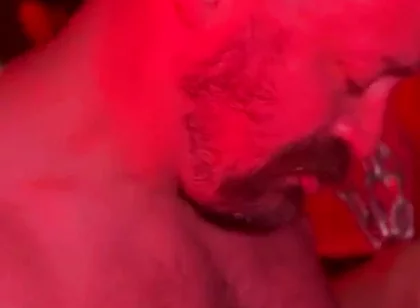 Bear Cruises the Dark Rooms