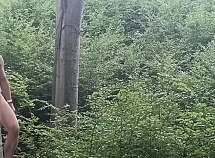 Between the Beeches: Rough Exhibition on Bare Wood