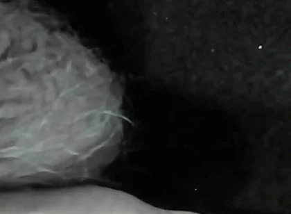 Arc of Sperm, Solo Amateur, Fountain