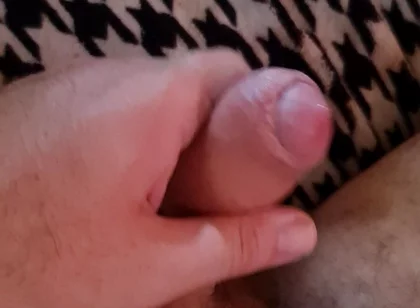 Nice Cock Mirko2589