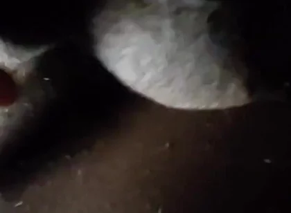 Spit on Your Genitals and Move and Ejaculate