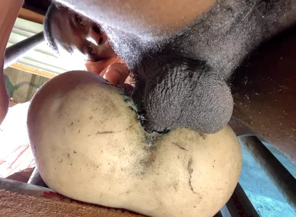 Amateur Big Ass Is Too Tight Make Me Cum Fast That I Did Not Expect