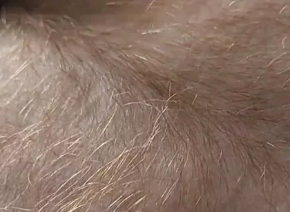 Anybody Want to Run Their Hands Over My Hairy Ginger Chest and Belly?