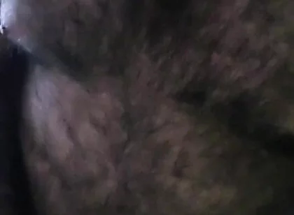 Bear Alone