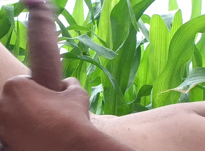 Worldwide Viral Desi Hunk Solo Action Part 4 - Premium Faceless Amateur Close-up Raw Stroking Session 4K