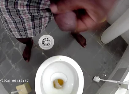 Jerking and Pissing in the Toilet