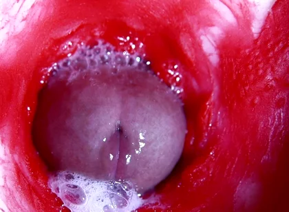 Hot Wet Sexy Hole and Sloppy Big Cock