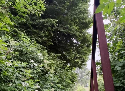 Netherland Guy Dared Strips and Walks Naked in the Park Candid