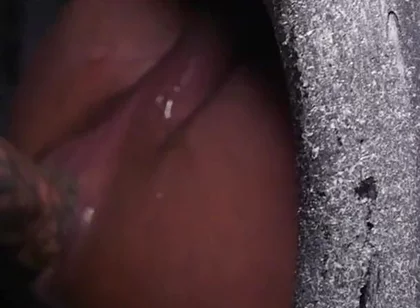 The Fist Van Bareback Public Anal Fucking Hardcore Fisting