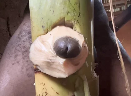Hoter Way to Be Very Hard Strong Straight Cum Cute