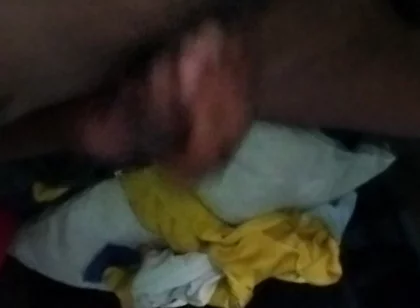 They Suck My Cock