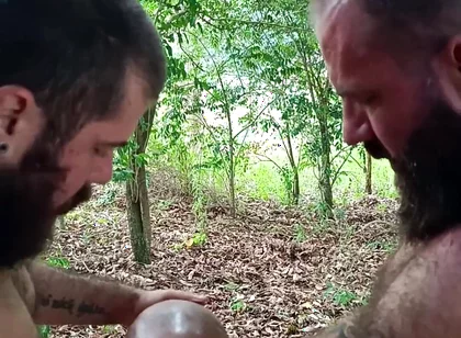 Two Stepbrothers Outdoor Hookup