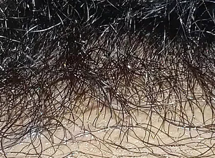 Handboy Masturbation After Frist Time